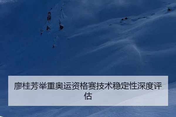 liao-gui-fang-ju-zhong-ao-yun-zi-ge-sai-ji-shu-wen-ding-xing-shen-du-ping-gu-3-548.jpg