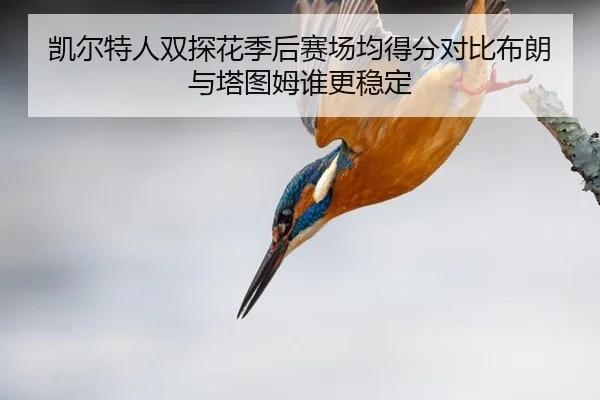 凯尔特人双探花季后赛场均得分对比布朗与塔图姆谁更稳定
