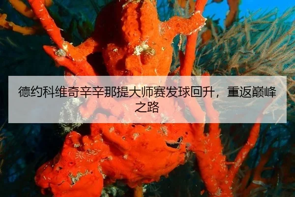 de-yue-ke-wei-qi-xin-xin-na-ti-da-shi-sai-fa-qiu-hui-sheng-chong-fan-dian-feng-zhi-lu-3-866.jpg